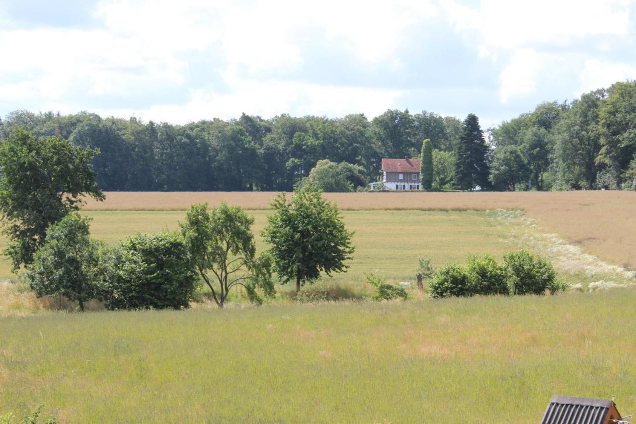 Ferienwohnung Landsburgblick Neuental Bagian luar foto